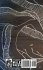 Lost Eel Questions - Bild 2