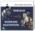 Dressur meets Working Equitation - Bild 2