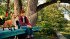 Die Schule der magischen Tiere - Bild 2