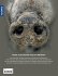 Heimische Tiere und ihre wilden... - Bild 2
