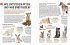 Heimische Tiere und ihre wilden... - Bild 3