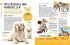 Heimische Tiere und ihre wilden... - Bild 4