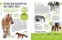 Heimische Tiere und ihre wilden... - Bild 5