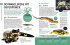 Heimische Tiere und ihre wilden... - Bild 6