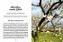 Das große kleine Buch: Obstbäume in... - Bild 5