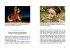 Fotogalerie Fotogalerie