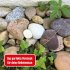 Die drei ??? Geheimversteck - Bild 3