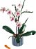 LEGO® 10311 Orchidee - Bild 2