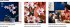 LEGO® 10311 Orchidee - Bild 11