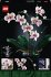 LEGO® 10311 Orchidee - Bild 14