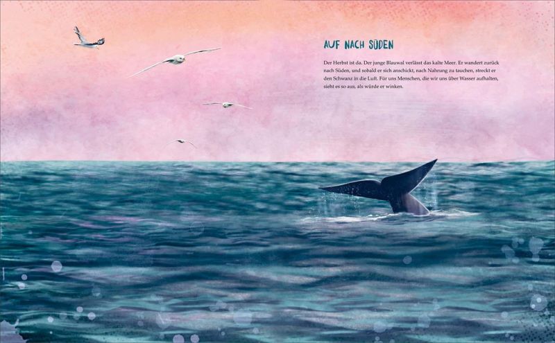 Der Blauwal von Andreas Tjernshaugen portofrei bei bücher.de bestellen