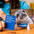 What Do You Meme - Family Edition -... - Bild 4