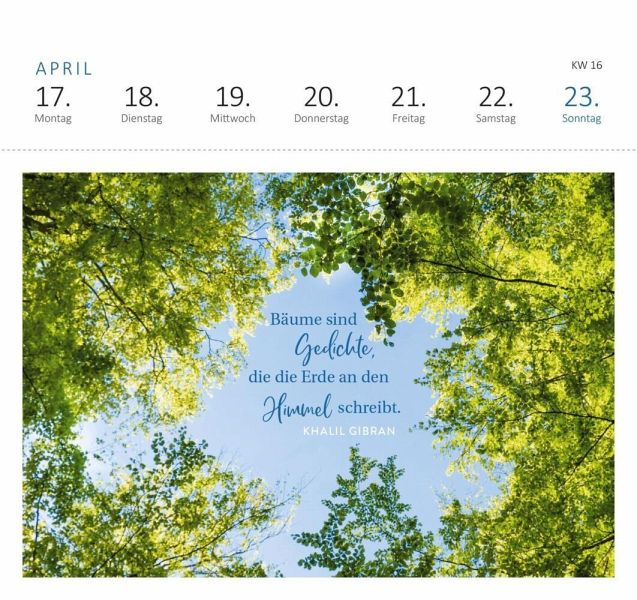 Postkartenkalender Uralte Weisheiten der Bäume 2023 - Kalender