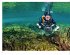 Die Welt der Süßwasserquellen - Bild 11