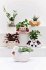 Animal Pot Covers - Bild 6