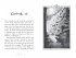 Fireborn 1: Twelve and the Frozen Forest - Bild 4