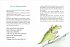 Linus und der Drachen-Wettkampf / Erst... - Bild 4