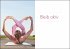 Der Yoga-Effekt - Bild 5
