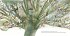 Ein Baum ist ein Anfang - Bild 3