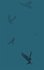Wen der Rabe ruft / Raven Cycle Bd.1 - Bild 3