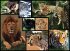 WWF Puzzle 7230057 - Wildkatzen,... - Bild 2