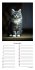 Geburtstagskalender Katzen - Bild 7