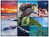 WWF Puzzle 7230481 - Bodenpuzzle Ozean,... - Bild 2
