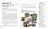 happy time guide Neapel + Pompeji,... - Bild 3