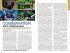 Lonely Planet Borneo - Bild 5