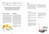 Mein Blumengarten - Das illustrierte... - Bild 4