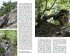 Wilde Wege Elbsandsteingebirge - Bild 5