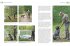 Der Jagdgebrauchshund - Bild 8