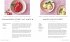 Eis, Sorbets & Frozen Joghurts - Bild 4