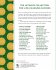 Essential Prosperity - Bild 2