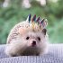 Gute Laune Block Zum Geburtstag - Bild 4