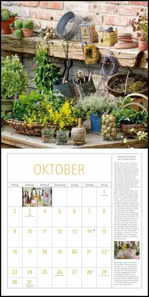 DuMonts Kräuter-Kalender 2023 - Broschürenkalender - mit Texten und 
