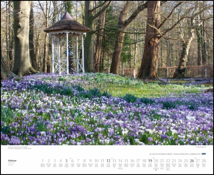 Dumont Kalender Blumenwiesen 