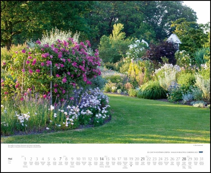 Dumont Kalender Blumenwiesen 