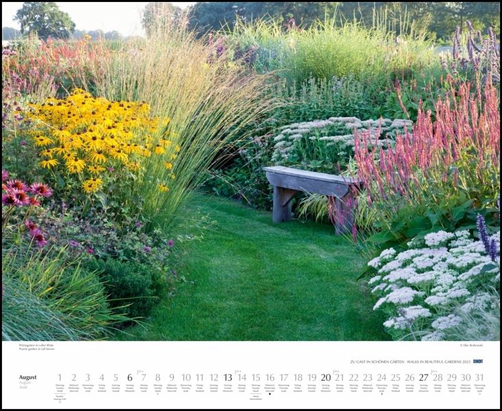 Dumont Kalender Blumenwiesen 