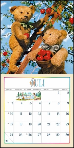  Teddy 2022 - Broschürenkalender 30x30 cm (30x60 geöffnet) -  Kalender mit Platz für Notizen - Bildkalender - Wandplaner - mit  herausnehmbarem Poster : Everything Else