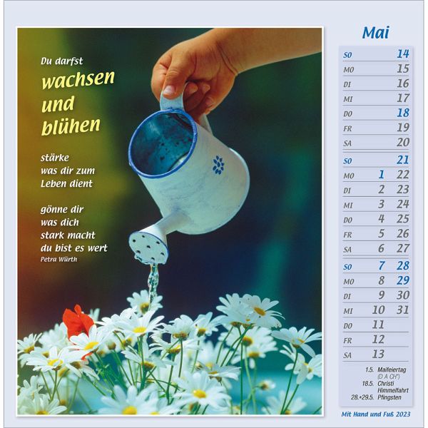 Mit Hand und Fuß 2023 von Petra Würth - Kalender bei bücher.de bestellen