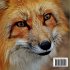 The Magical Red Fox - Bild 2
