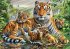 Schmidt 58986 - Tiger und Welpen,... - Bild 2