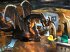 Die Legenden von Andor - Big Box - Bild 10
