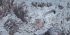 Der Schneeleopard - Bild 6