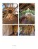 Building with Bamboo - Bild 5