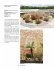 Building with Bamboo - Bild 8