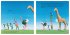 Your Place in the Universe - Bild 2
