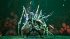 Dolmen Day One Edition (PlayStation 4) - Bild 3