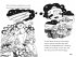 Mudpuddle Farm: Six Animal Adventures - Bild 9